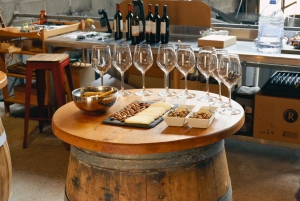 Da Barcellona: le esclusive cantine, i vini e la natura del Priorat