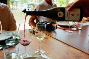 Da Barcellona: le esclusive cantine, i vini e la natura del Priorat