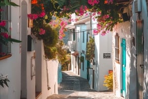 From Barcelona: PRIVATE Cadaqués Guided Tour and Free Time