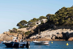 Desde Barcelona: Visita guiada a Cadaqués em privado e tempo livre