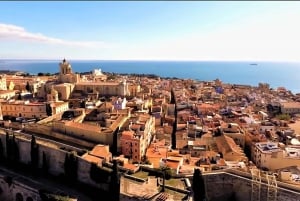 De Barcelona: Excursão particular de meio dia a Tarragona com traslado