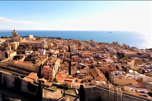 Depuis Barcelone : Visite privée d'une demi-journée à Tarragone avec prise en charge
