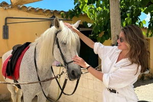 Au départ de Barcelone : balade à cheval privée + tapas + pique-nique