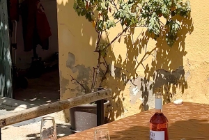 Au départ de Barcelone : balade à cheval privée + tapas + pique-nique