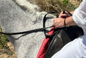 Au départ de Barcelone : balade à cheval privée + tapas + pique-nique