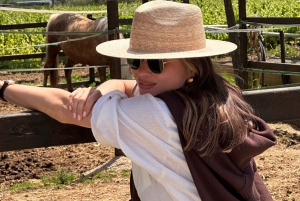 Au départ de Barcelone : balade à cheval privée + tapas + pique-nique