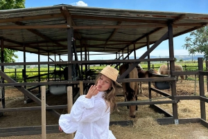 Au départ de Barcelone : balade à cheval privée + tapas + pique-nique