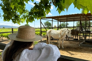 Au départ de Barcelone : balade à cheval privée + tapas + pique-nique
