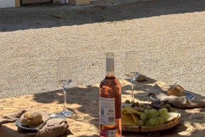 Au départ de Barcelone : balade à cheval privée + tapas + pique-nique