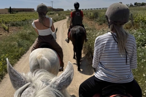 From Barcelona: PRIVATE Horseback Ride + Tapas + Picnic