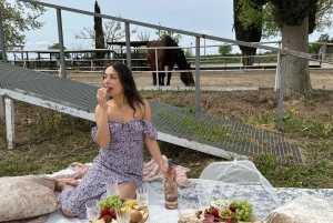 From Barcelona: PRIVATE Horseback Ride + Tapas + Picnic