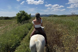 From Barcelona: PRIVATE Horseback Ride + Tapas + Picnic