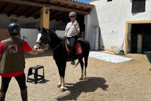 From Barcelona: PRIVATE Horseback Ride + Tapas + Picnic