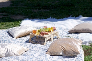 From Barcelona: PRIVATE Horseback Ride + Tapas + Picnic