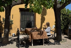 From Barcelona: PRIVATE Horseback Ride + Tapas + Picnic
