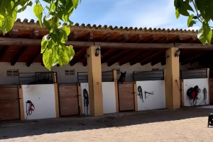 From Barcelona: PRIVATE Horseback Ride + Tapas + Picnic