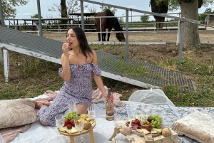 From Barcelona: PRIVATE Horseback Ride + Tapas + Picnic