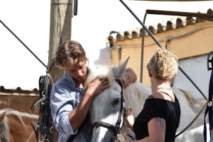 From Barcelona: PRIVATE Horseback Ride + Tapas + Picnic