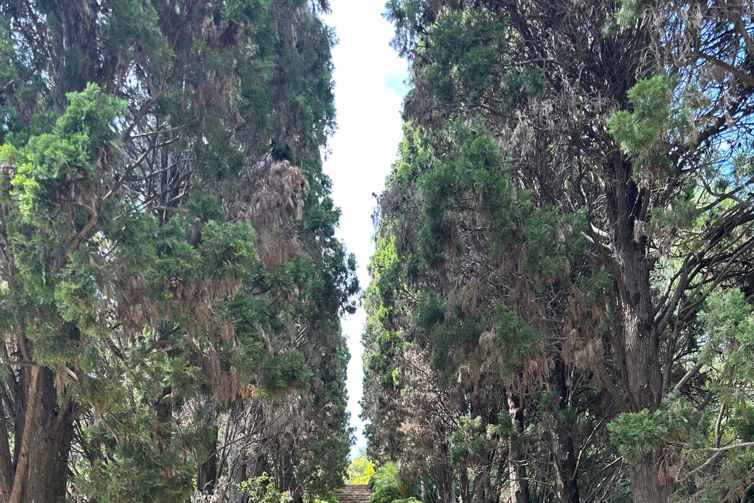 Från Barcelona: Privat solnedgångstur i Blanes Marimurtra-trädgården