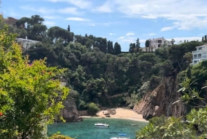 Från Barcelona: Privat solnedgångstur i Blanes Marimurtra-trädgården