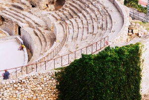 Da Barcellona: Tour privato guidato di Tarragona con tempo libero