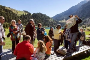 From Barcelona: Pyrenees Mountains Day Tour