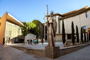 From Barcelona: Pyrenees Mountains Day Tour