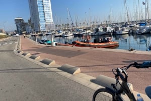 From Barcelona: Sailing and E-bike Winery Tour with Tastings