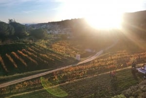 Z Barcelony: Żeglowanie i wycieczka rowerowa do winiarni z degustacją