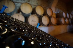 Vanuit Barcelona: zeil- en wijnproeverijervaring