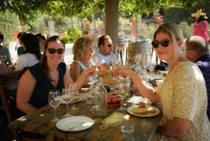 Desde Barcelona: Experiencia de navegación y cata de vinos