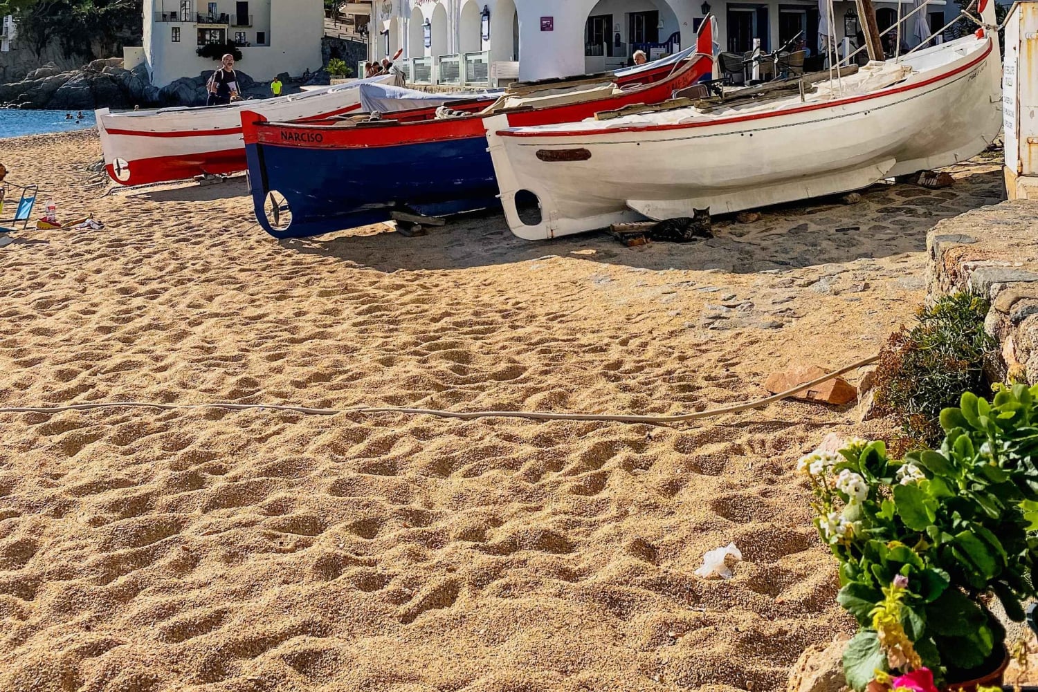 Z Barcelony: Wycieczka w małej grupie: Costa Brava i Muzeum Dali