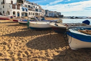 Z Barcelony: Wycieczka w małej grupie: Costa Brava i Muzeum Dali