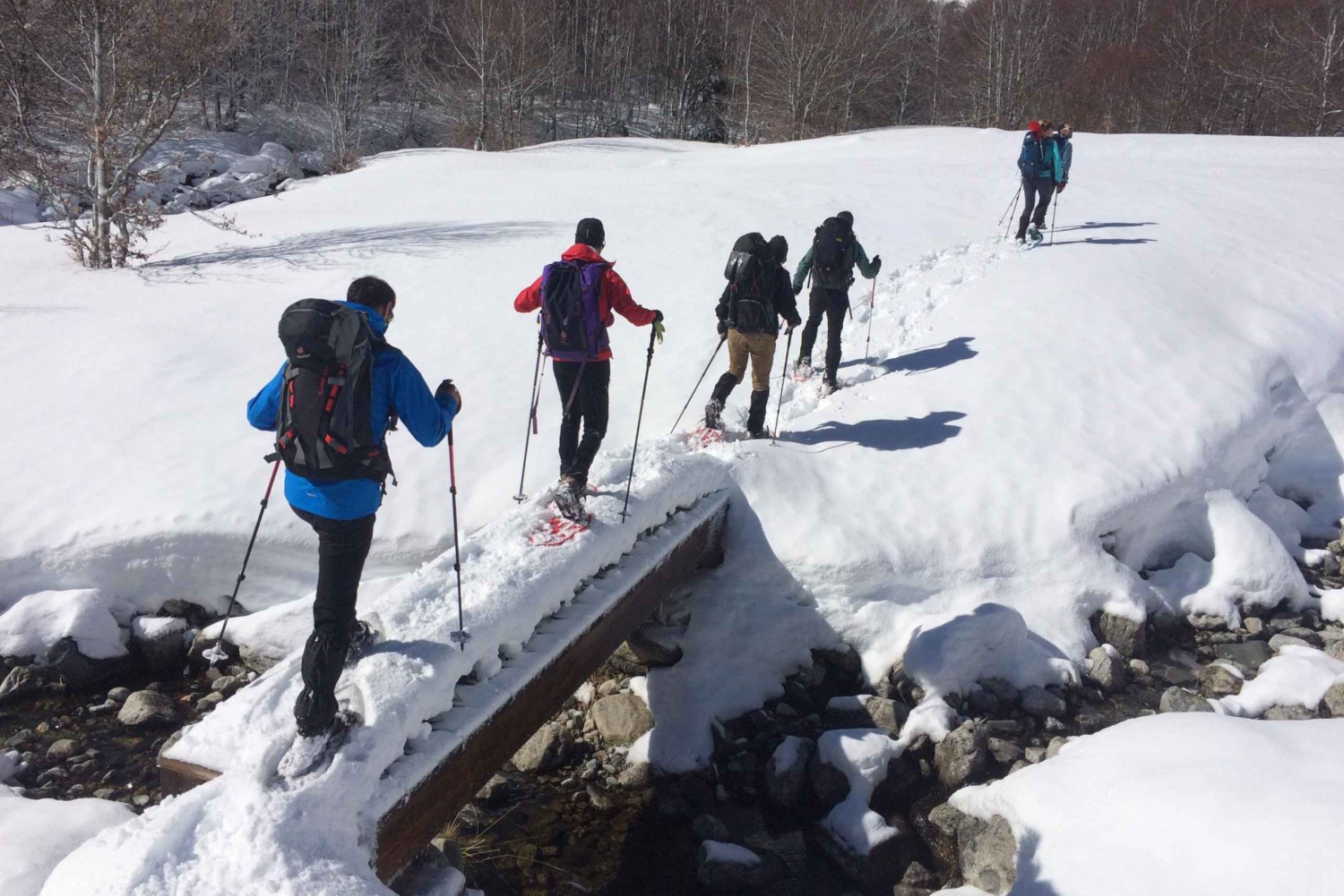 From Barcelona: Snowshoeing in the Pyrenees