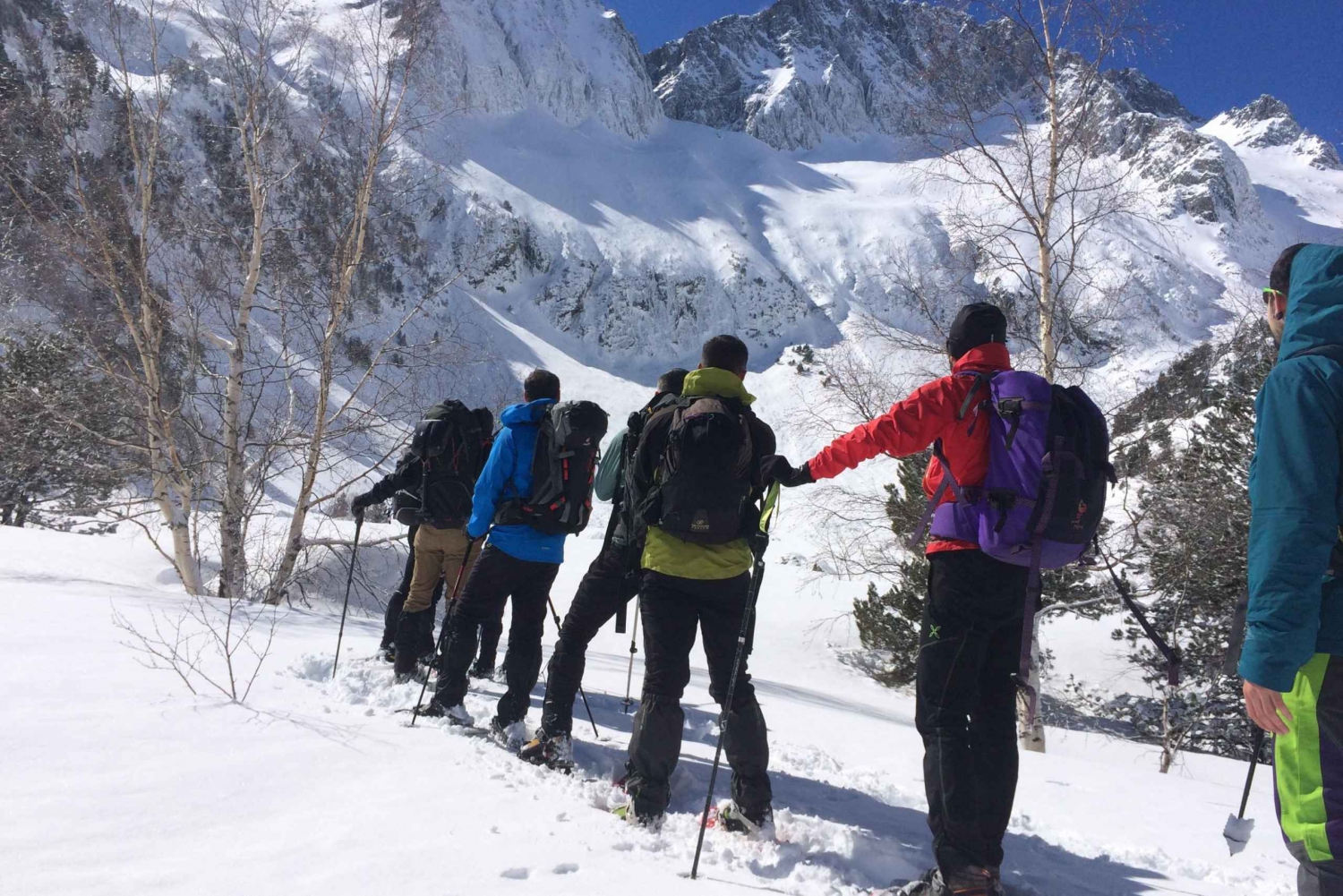 From Barcelona: Snowshoeing in the Pyrenees