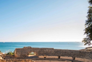 Barcelonasta: TARRAGONA Opastettu kiertoajelu ja viininmaistajaiset