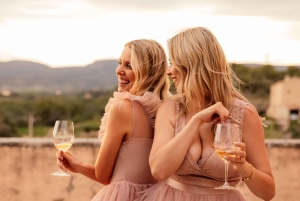 Barcelonasta: TARRAGONA Opastettu kiertoajelu ja viininmaistajaiset