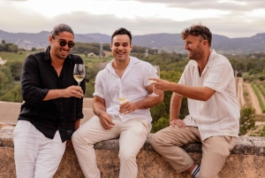 Barcelonasta: TARRAGONA Opastettu kiertoajelu ja viininmaistajaiset