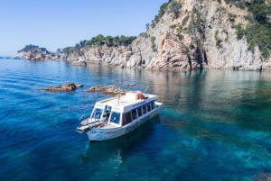 Z Barcelony: wycieczka 1-dniowa do Tossa de Mar w małej grupie