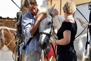 From Barcelona: PRIVATE Horseback Riding and Tapas Picnic