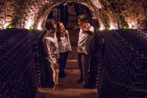 Z Barcelony: Penedés Vineyards Tour by 4WD z winem i cavą