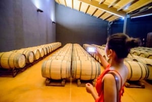 From Barcelona: Wine, Cava, Tapas & Vineyards 4WD Experience