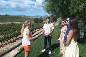 From Barcelona: Winery Tour with Tasting and Lunch