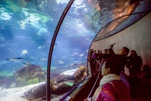 From Costa Brava: Barcelona Excursion and Aquarium