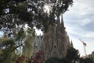 Fra Salou: Heldags panoramatur i Barcelona med fritid
