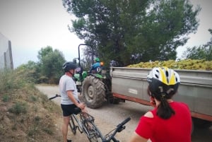 From Sitges: Cycling Tour with Winery visit and Tasting