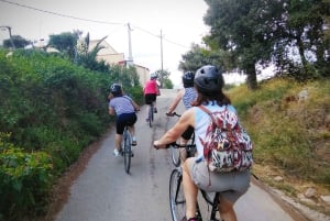 From Sitges: Cycling Tour with Winery visit and Tasting