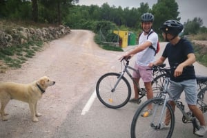 From Sitges: Cycling Tour with Winery visit and Tasting