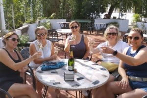 From Sitges: Cycling Tour with Winery visit and Tasting