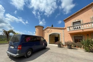 From Sitges: Wine Tasting at 2 Wineries with Hotel Pickup